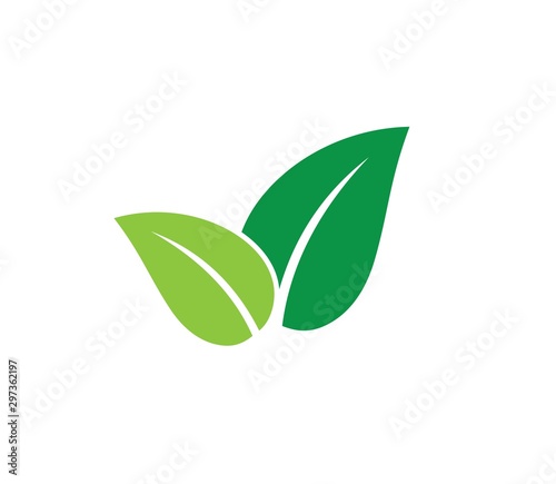 Fotografia green leaves vector icon design on white background.