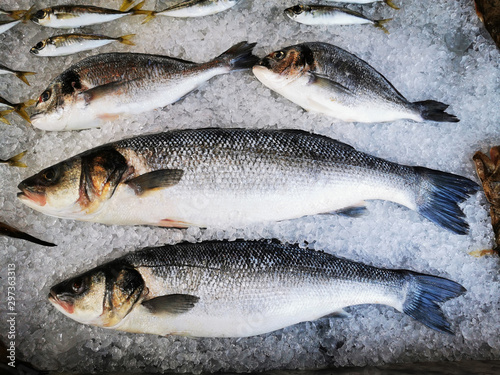 fresh fishes on the ice cubes