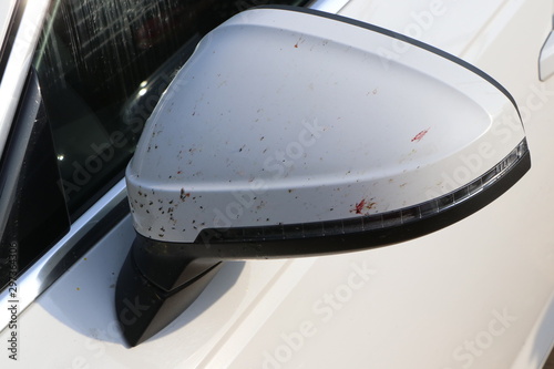 Insects crashed on a car rearview mirror while driving at high speed.