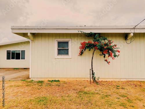 Exterior view of house