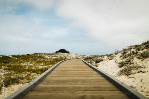 View of wooden path