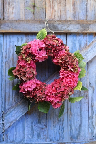 A seasonal autumn wreath of pink hydrangeas hanging on a blue painted barn door , a rustic wedding decoration 