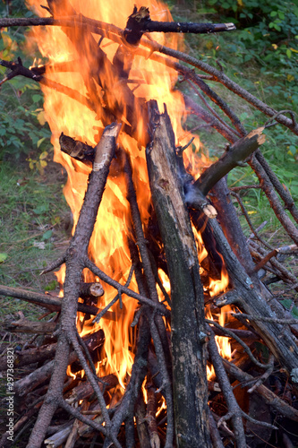 Fototapeta Naklejka Na Ścianę i Meble -  Bonfire in forest, Tree branch, Burn, Firewood in camp