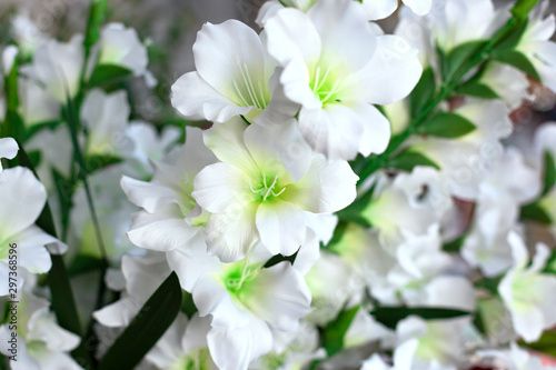 Bouquet of beautiful white lilies. Close up photo. Template for greeting card. Selective focus.  © bulgn