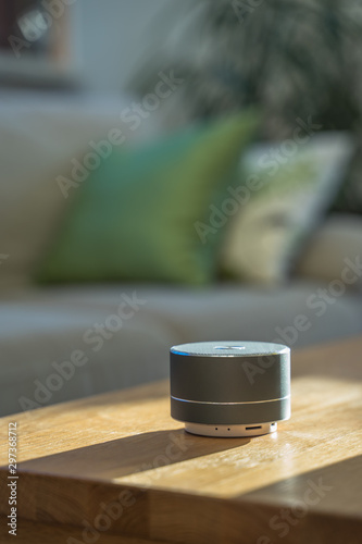 voice controlled smart speaker in a interior home environment. 