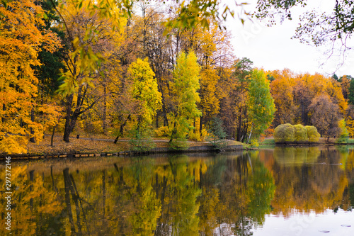 autumn landscape with lake and trees © STOCKIMAGE