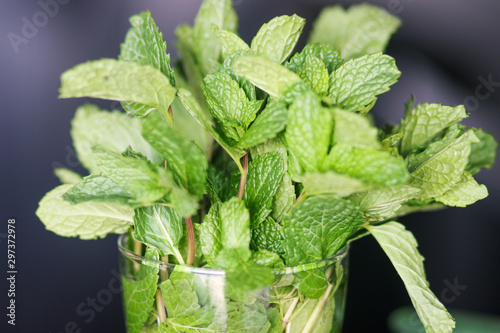 fresh mint leaves