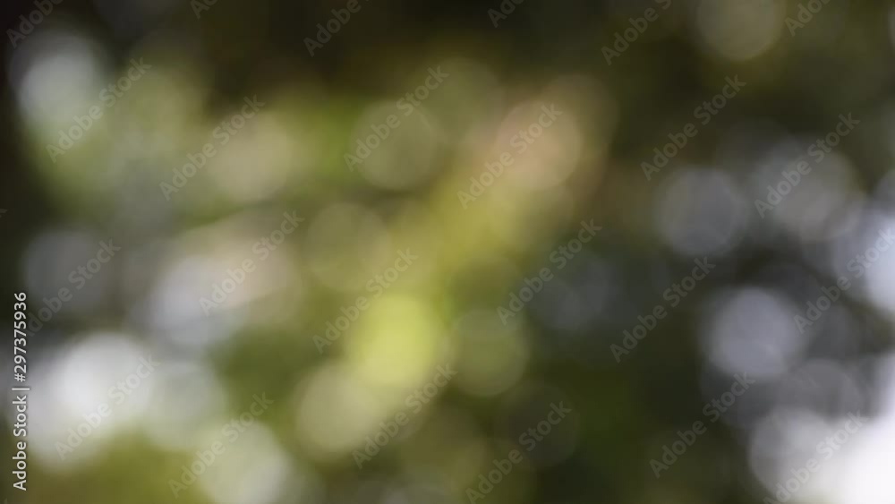 Abstract blurred Christmas lights bokeh background. Sparkle Christmas background. Glittering Christmas background sparkles in FullHD resolution close up footage.