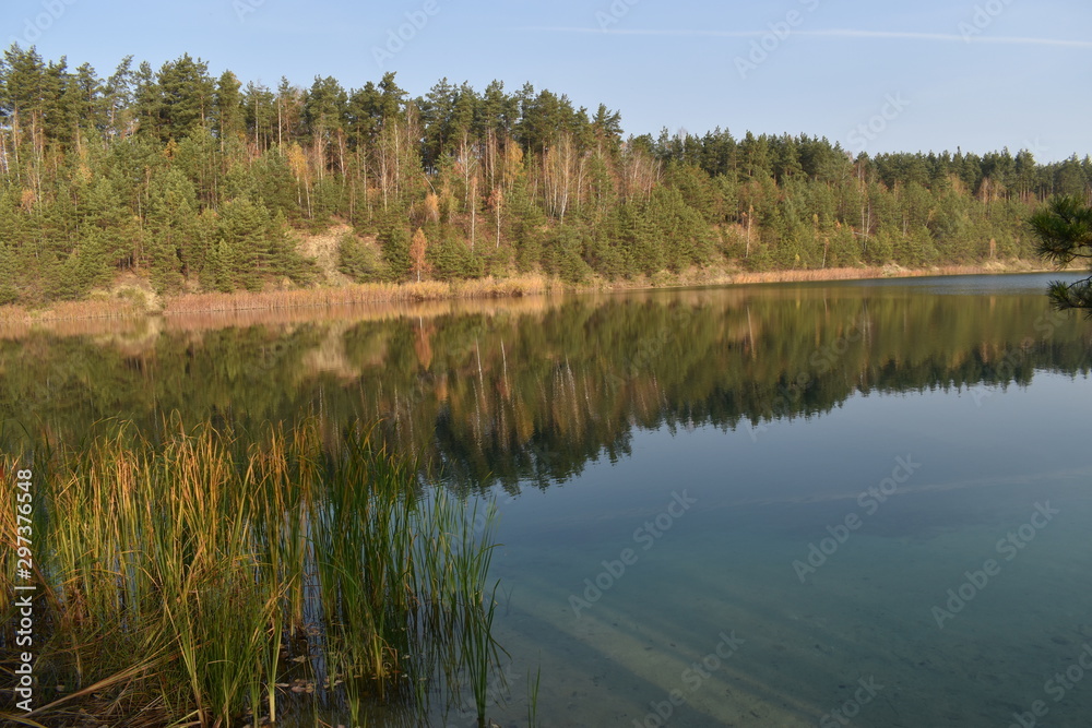 lake in forest