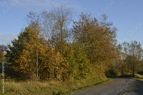 Fototapeta Naklejka Na Ścianę i Meble -  Mountain landscape in autumn colours