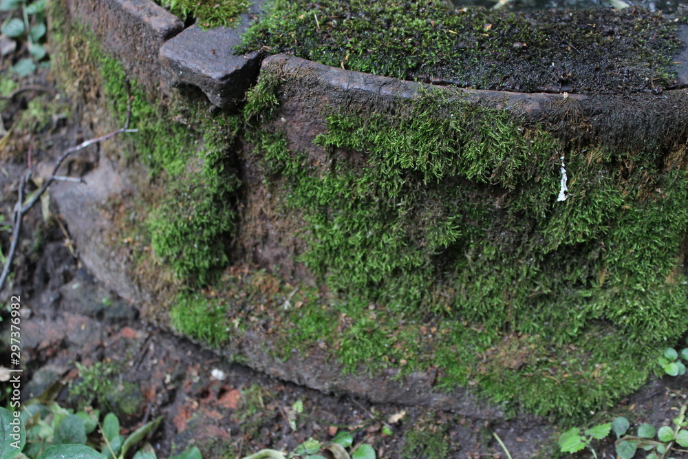 Fototapeta premium background