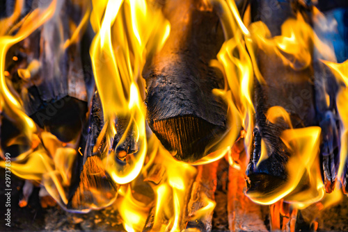 A tree burns in a fire, close-up burning logs for heat. photo