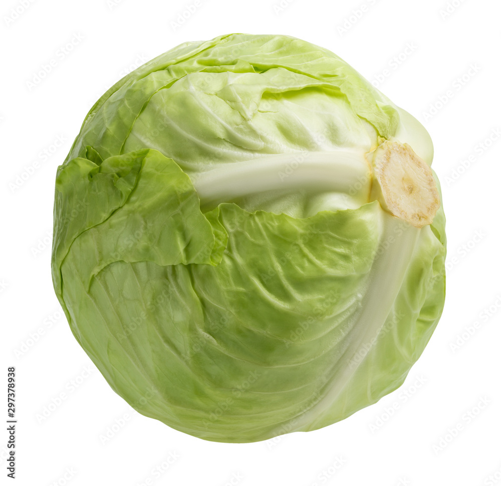 cabbage isolated on white background clipping path cabbage isolated on white background clipping path