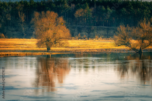 Nationalpark Unteres Odertal photo