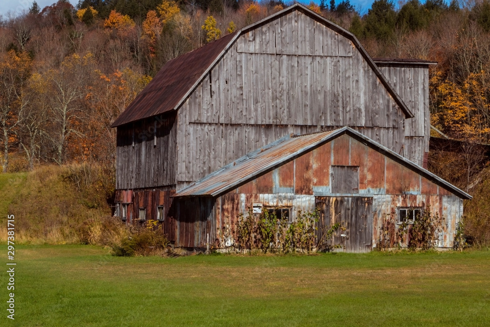 old barn with fall colours 