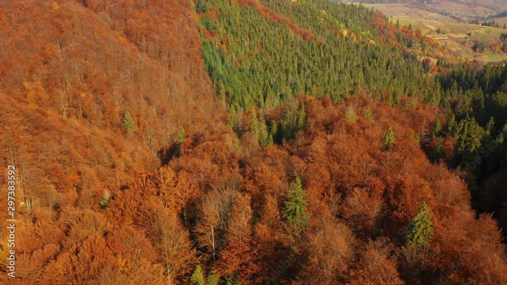 Drone flying above treetops on Mount Gretna, PA, in late summer, early autumn, trees in autumn colors, fall foliage