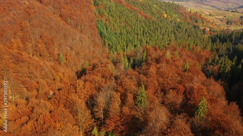 Drone flying above treetops on Mount Gretna, PA, in late summer, early autumn, trees in autumn colors, fall foliage photo