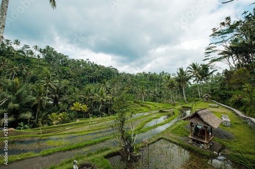 Rainy landscape, Bali, Indonesia