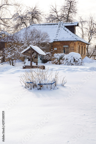 Winter house on winter snowy panoramic landscape © Elena Sistaliuk