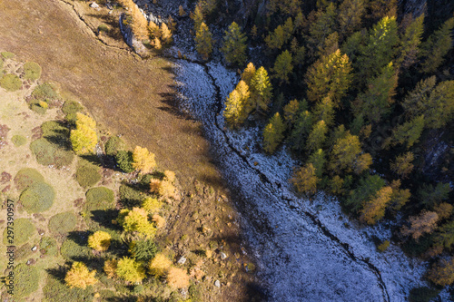 Trees and meadows in autumn. Aerial view