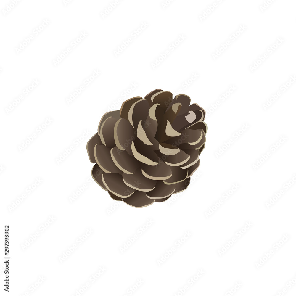 Christmas cone wooden vector illustration Christmas cone wooden vector illustration
