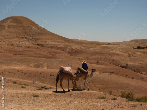 Man riding camel in desert photo