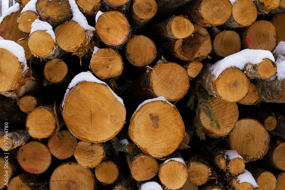 Fototapeta premium pile of wood