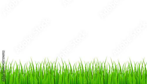 Green grass meadow border vector pattern. Grass background Vector Illustration