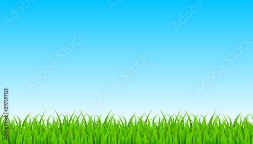 Green Grass Border With Sky. Vector Illustration