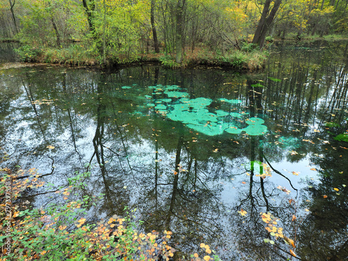 Niebieskie źródła.