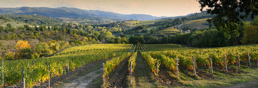 Fototapeta premium Piękna winnica w regionie Chianti w pobliżu Greve in Chianti (Florencja) o zachodzie słońca w kolorach jesieni. Włochy.