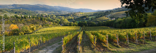 Beautiful vineyard in Chianti region near Greve in Chianti (Florence) at sunset with the colors of autumn. Italy. photo