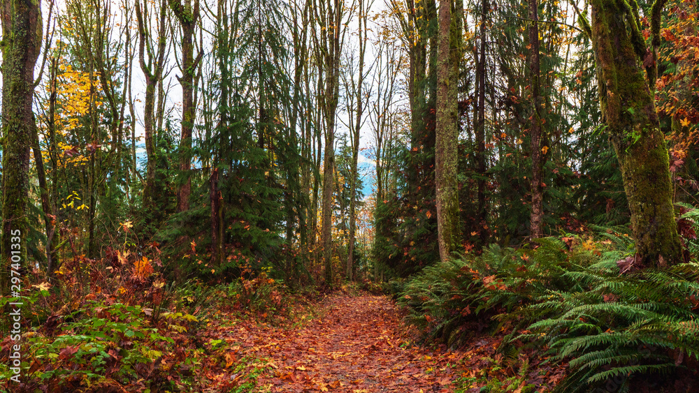Headed down Cardiac Hill to TransCanada Trail in Fall Headed down Cardiac Hill to TransCanada Trail in Fall