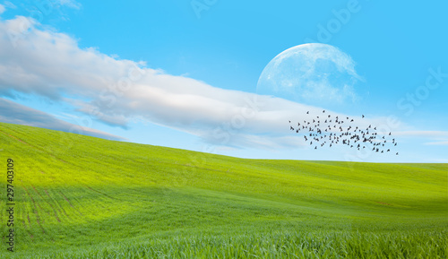 Birds silhouettes flying above green grass field in the background full moon "Elements of this image furnished by NASA"