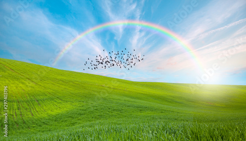 Beautiful landscape with gr...