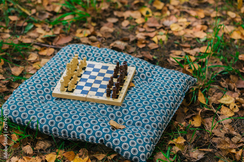 Wooden chessboard and chess pieces on green grass covered with dry autumn yellow leaves
