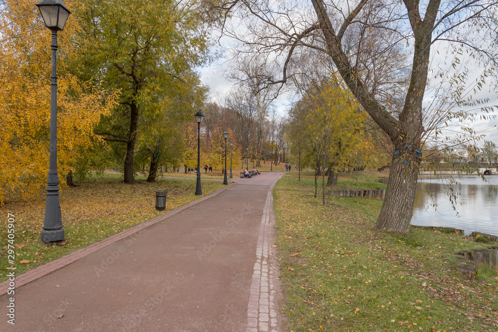 road in autumn