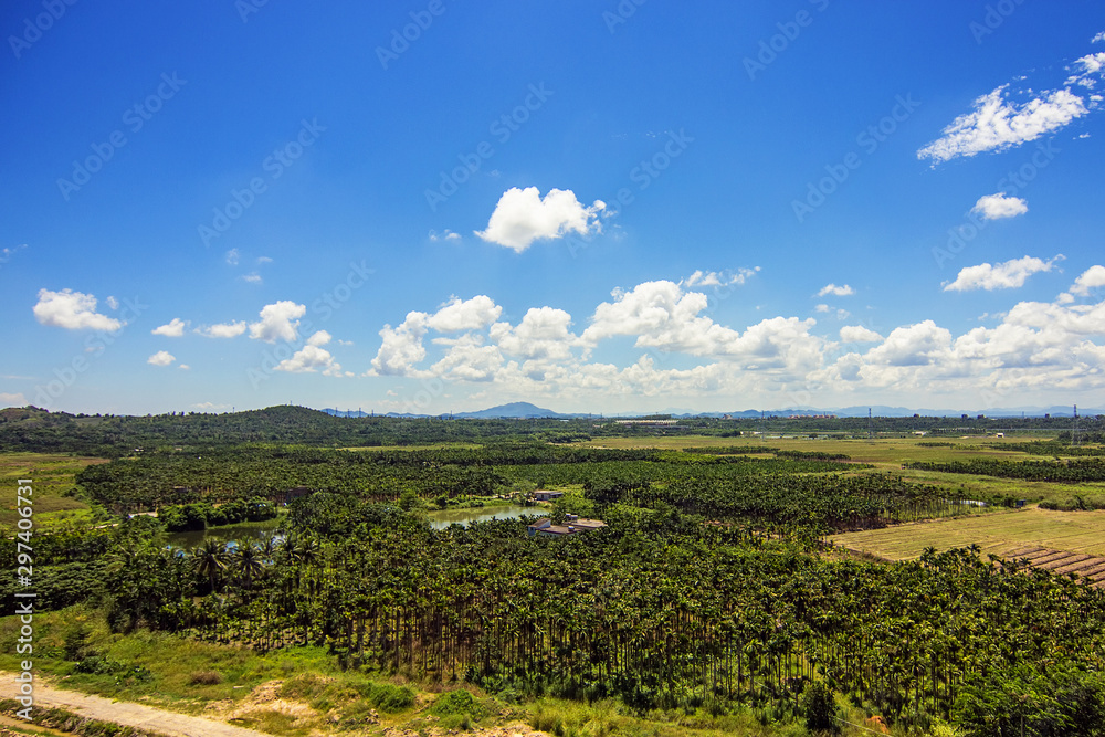 Chinese field and lonely mountain onbackground, Sanya, exotic Hainan island, China, Asia