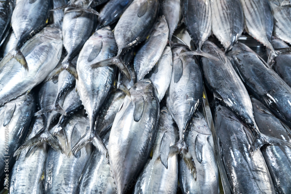 Obraz premium Tuna on the counter. Fresh fish counter - raw tuna in a row, top view. Street market with fresh fish.