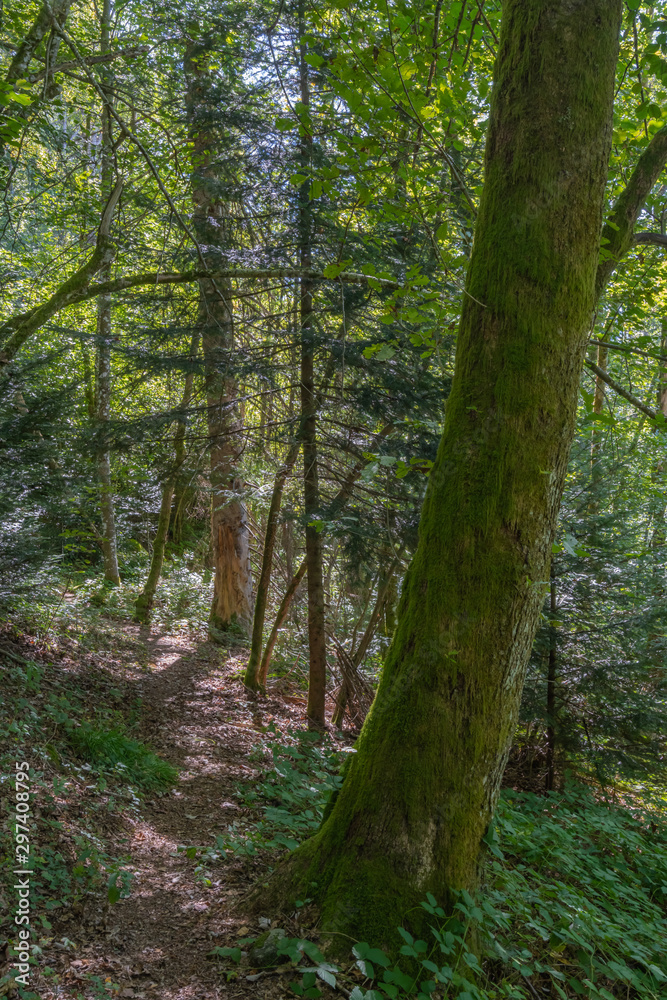 Fototapeta premium Château-Lambert, France - 09 13 2019: Hike in the circuit of school trail