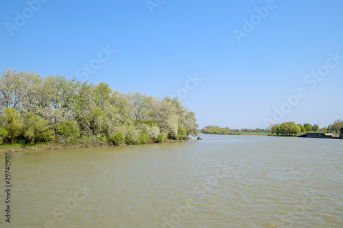 Trees by the river in spring. Spring flood of river.