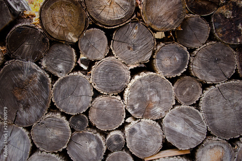Wall of stacked wood logs 