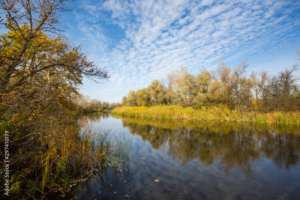 Obraz premium Autumn landscape on river at nice sunny day