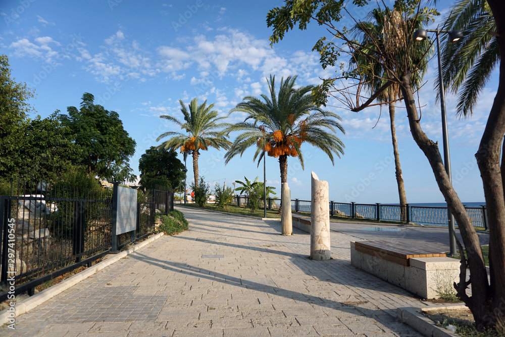 Charming cobbled sea promenade with tropical plants and palm trees on a clear sunny day. Great place for walking, outdoor activities and relaxation. The concept of summer holidays on the seashore.