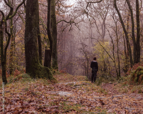 woman in forest