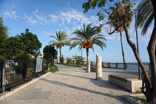 Charming cobbled sea promenade with tropical plants and palm trees on a clear sunny day. Great place for walking, outdoor activities and relaxation. The concept of summer holidays on the seashore.