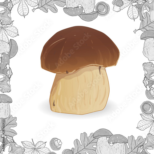 Fresh mushrooms isolated on white with monochrome frame. Vector illustration