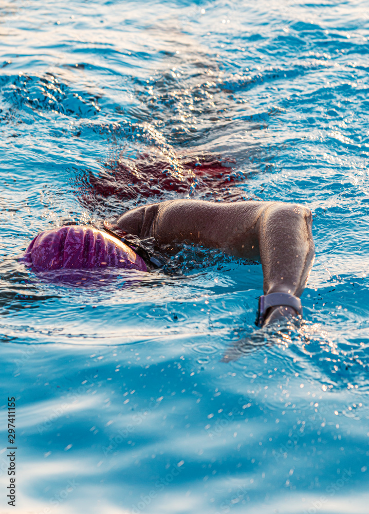 Close up of swimmer in outdoor pool