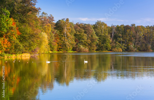 Wallpaper Mural Beautiful landscape of the lake in autumn, Poland Torontodigital.ca