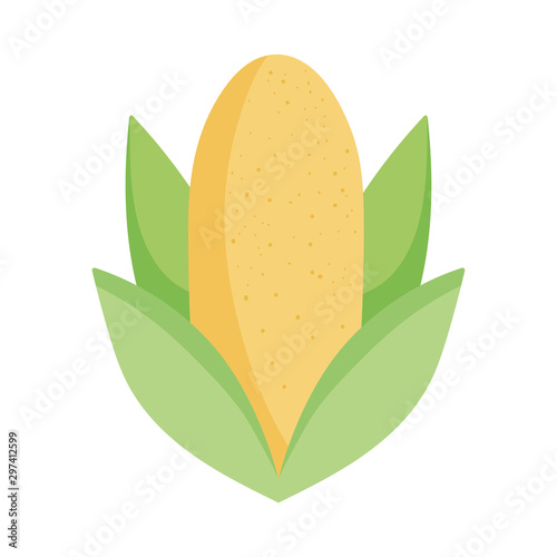 corn cob leaves food icon